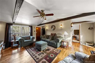 106 Elk Dr, Bailey, CO 80421 - Photo 7