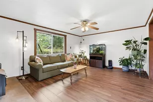 19133 Silver Ranch Rd, Conifer, CO 80433 - Photo 13