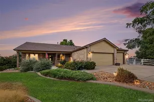 9025 E 138th Ct, Brighton, CO 80602 - Photo 1