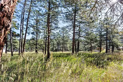 3942 S Palo Verde Road, Evergreen, CO 80439 - Photo 13