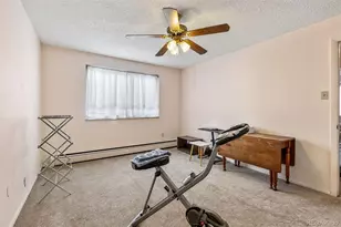 1233 N Ogden St, Denver, CO 80218 - Photo 11