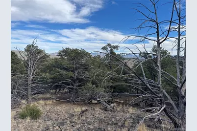 2926 E Path, Cotopaxi, CO 81223 - Photo 27