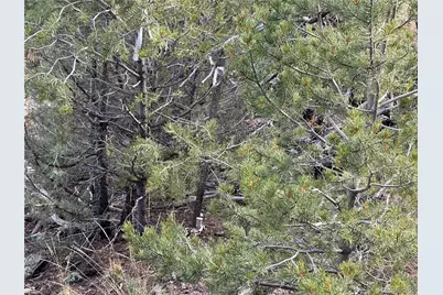 2926 E Path, Cotopaxi, CO 81223 - Photo 29