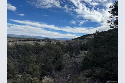 2926 E Path, Cotopaxi, CO 81223 - Photo 33