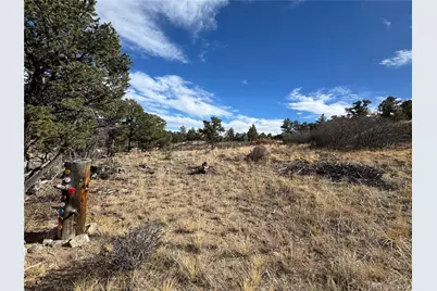 2926 E Path, Cotopaxi, CO 81223 - Photo 7