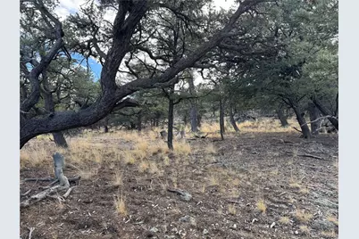 2926 E Path, Cotopaxi, CO 81223 - Photo 43