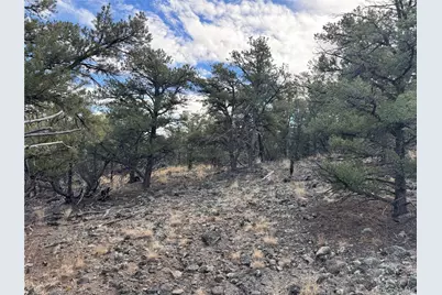 2926 E Path, Cotopaxi, CO 81223 - Photo 39