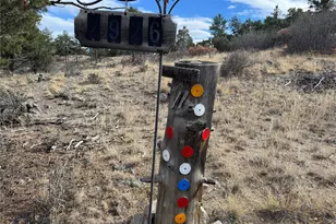 2926 E Path, Cotopaxi, CO 81223 - Photo 1