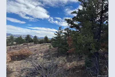 2926 E Path, Cotopaxi, CO 81223 - Photo 47