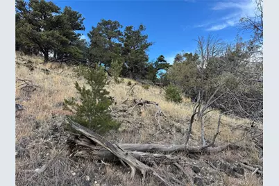 2926 E Path, Cotopaxi, CO 81223 - Photo 35