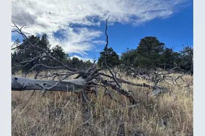 2926 E Path, Cotopaxi, CO 81223 - Photo 25