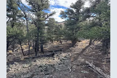 2926 E Path, Cotopaxi, CO 81223 - Photo 37