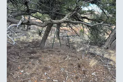 2926 E Path, Cotopaxi, CO 81223 - Photo 41