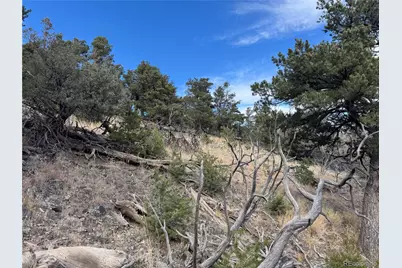 2926 E Path, Cotopaxi, CO 81223 - Photo 31