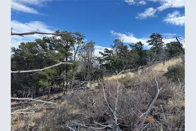 2926 E Path, Cotopaxi, CO 81223 - Photo 19