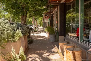 547 S Williams St, Denver, CO 80209 - Photo 49