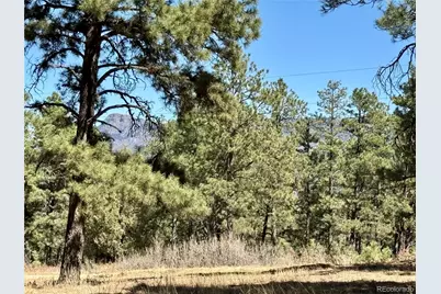 34999 Timber Park Drive, Trinidad, CO 81082 - Photo 9