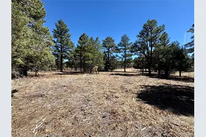34999 Timber Park Drive, Trinidad, CO 81082 - Photo 11
