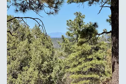 34999 Timber Park Drive, Trinidad, CO 81082 - Photo 3