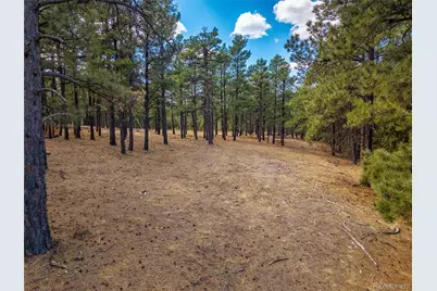 34999 Timber Park Drive, Trinidad, CO 81082 - Photo 15