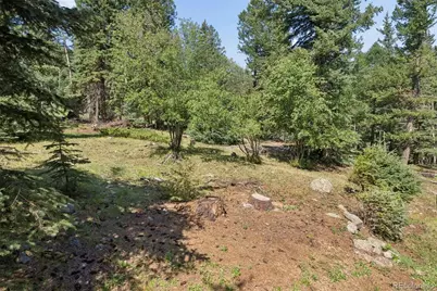 2667 Witter Gulch Road, Evergreen, CO 80439 - Photo 37