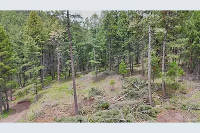 13114 Grey Hackle Drive, Larkspur, CO 80118 - Photo 7