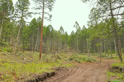 13114 Grey Hackle Drive, Larkspur, CO 80118 - Photo 1