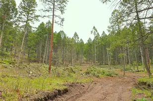 13114 Grey Hackle Dr, Larkspur, CO 80118 - Photo 1