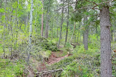 13114 Grey Hackle Drive, Larkspur, CO 80118 - Photo 17