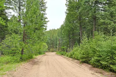 13114 Grey Hackle Drive, Larkspur, CO 80118 - Photo 21