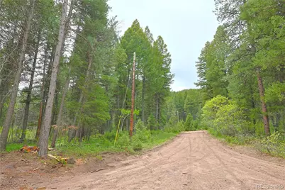 13114 Grey Hackle Drive, Larkspur, CO 80118 - Photo 19