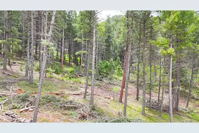 13114 Grey Hackle Drive, Larkspur, CO 80118 - Photo 13