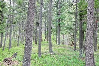 13114 Grey Hackle Drive, Larkspur, CO 80118 - Photo 3