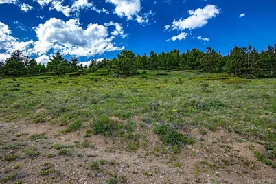 123 Mosquito Creek Road, Black Hawk, CO 80422 - Photo 47