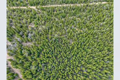 123 Mosquito Creek Road, Black Hawk, CO 80422 - Photo 19