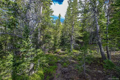 123 Mosquito Creek Road, Black Hawk, CO 80422 - Photo 33