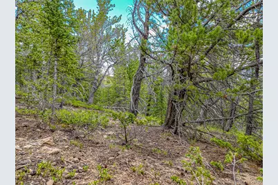 123 Mosquito Creek Road, Black Hawk, CO 80422 - Photo 31