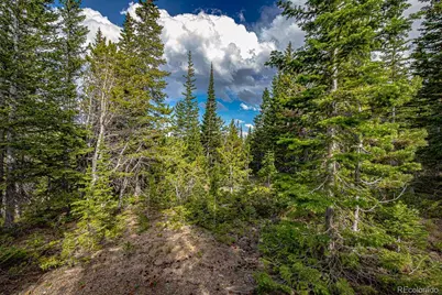 123 Mosquito Creek Road, Black Hawk, CO 80422 - Photo 37