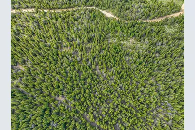 123 Mosquito Creek Road, Black Hawk, CO 80422 - Photo 21