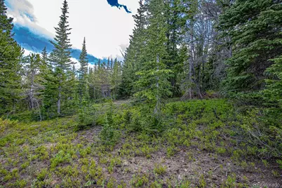 123 Mosquito Creek Road, Black Hawk, CO 80422 - Photo 39