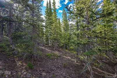 123 Mosquito Creek Road, Black Hawk, CO 80422 - Photo 35