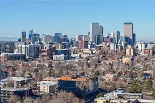 39 N Clarkson St, Denver, CO 80218 - Photo 31