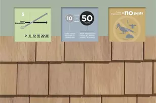 1160 N Dahlia St, Denver, CO 80220 - Photo 9