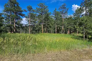 27901 Pine Dr, Evergreen, CO 80439 - Photo 5