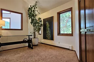 27901 Pine Dr, Evergreen, CO 80439 - Photo 17