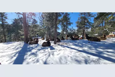 27901 Pine Drive, Evergreen, CO 80439 - Photo 31