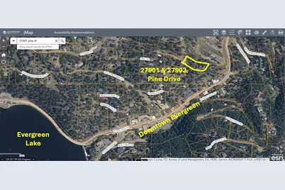 27901 Pine Drive, Evergreen, CO 80439 - Photo 29