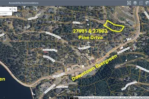 27901 Pine Dr, Evergreen, CO 80439 - Photo 29