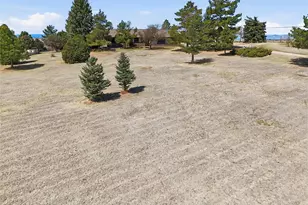 11481 Antelope Ln, Parker, CO 80138 - Photo 41