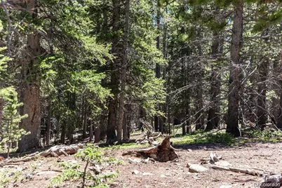 176 Gold Trail Circle, Fairplay, CO 80440 - Photo 11